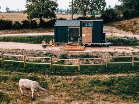 Property building, Animals