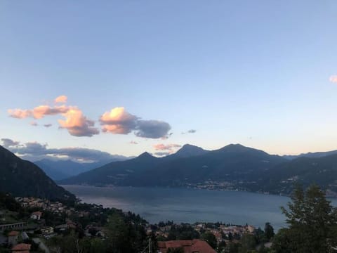 Lake view