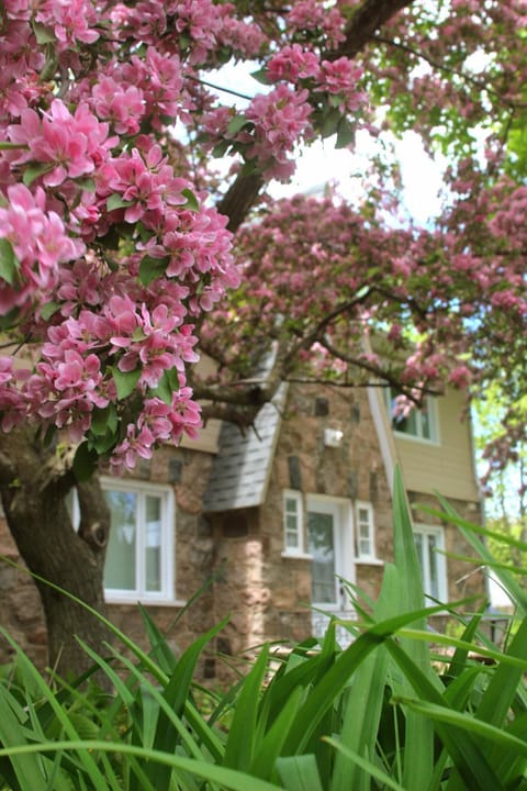 Property building, Spring
