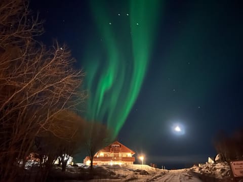 Huset ved fergekaien på Moskenes Apartment in Lofoten