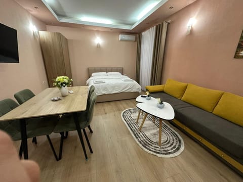 Bed, TV and multimedia, Living room, Photo of the whole room, Seating area, Bedroom, hair dresser