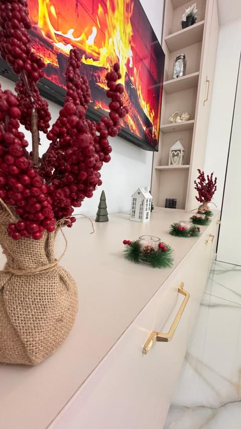 Erwins Studio Apartment in Craiova