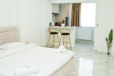 Erwins Studio Apartment in Craiova