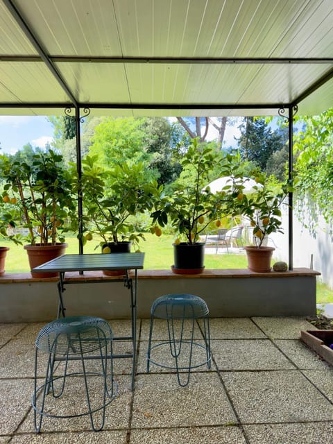 Day, Garden, Garden view