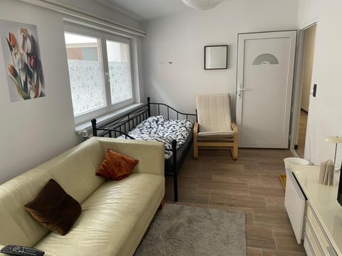 Bed, Living room, Photo of the whole room, Seating area, Bedroom