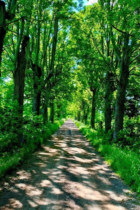 Mossebo Gästhem Inn in Kalmar County, Sweden