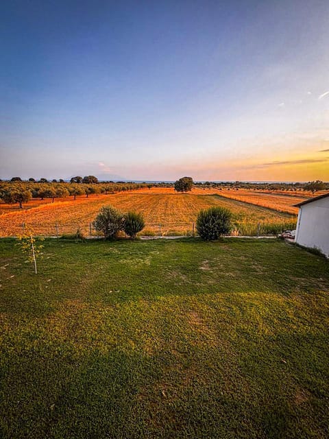 Natural landscape, Sunrise, Sunset