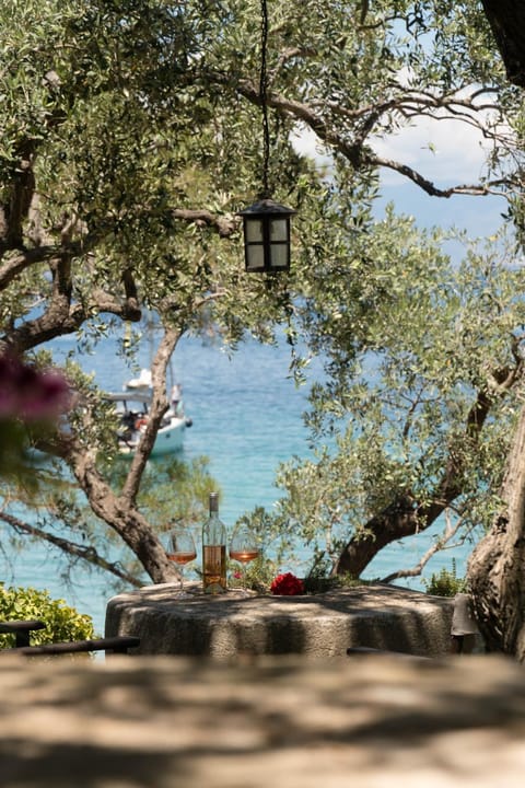 Garden, Sea view