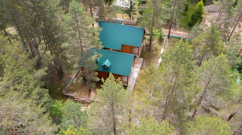 Villa Foresta Apartment in Montenegro