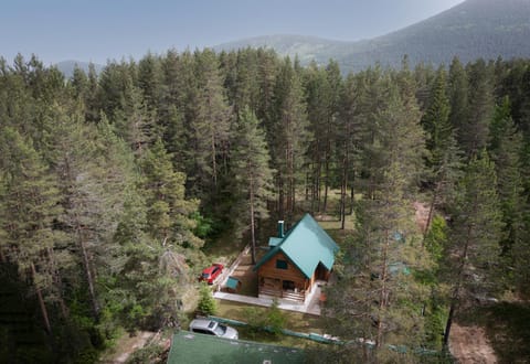 Villa Foresta Apartment in Montenegro