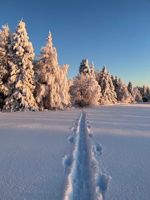 Day, Neighbourhood, Natural landscape, Winter