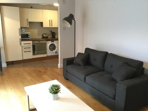 Central 2 bedroom apt in Smithfield Apartment in Dublin