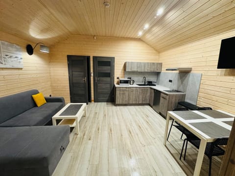 TV and multimedia, Kitchen or kitchenette, Living room, Seating area, Dining area, oven, stove
