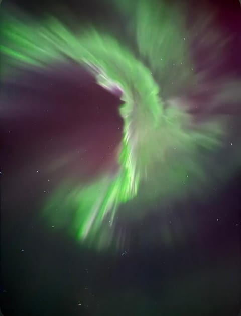 Oceanfront Cabin Cabin in Lofoten