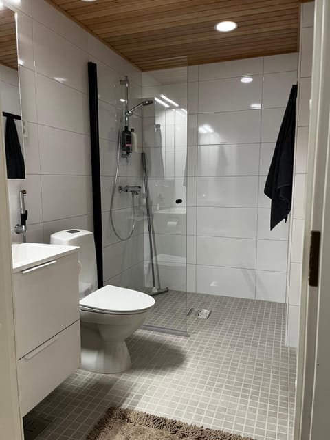 Shower, Toilet, Bathroom, towels