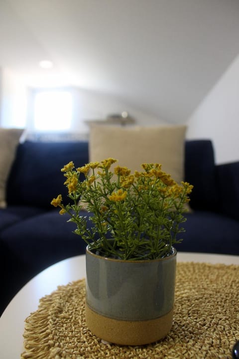 Apartments Smoljan Apartment in Federation of Bosnia and Herzegovina