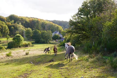 Natural landscape