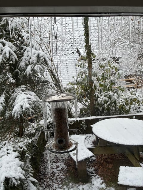 't Grote Egeltje XL chalet 220 Chalet in Wallonia, Belgium