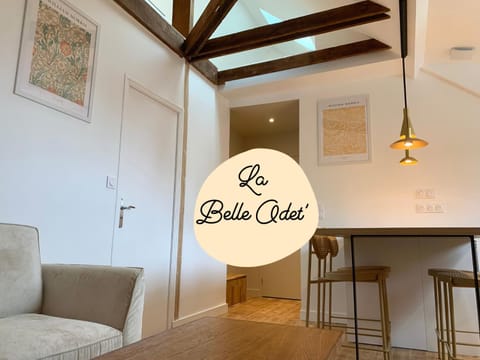 La Belle Odet' - choix d'appartements- Centre ville-quais Apartment in Quimper