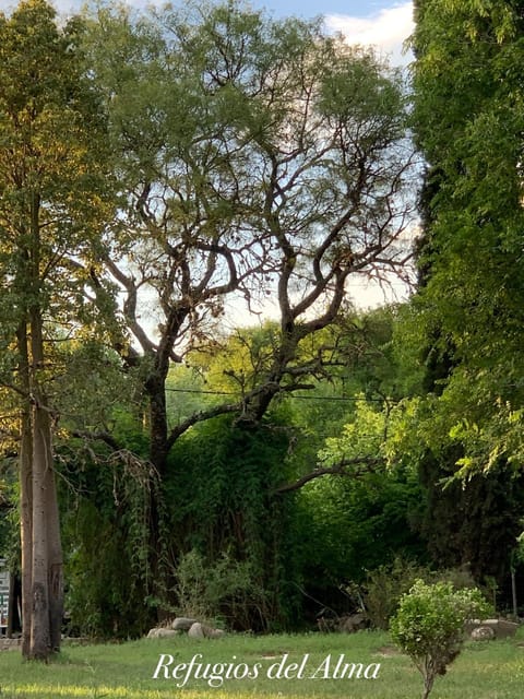 Spring, Off site, Natural landscape, Winter, BBQ facilities, View (from property/room), View (from property/room), Photo of the whole room, Hiking, Garden view, Garden view, Pool view, Swimming pool, Parking, internet, soundproof, wardrobe