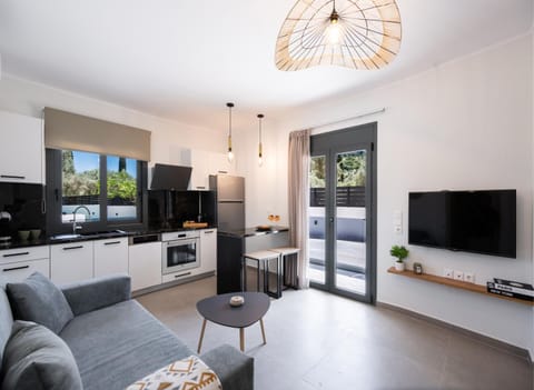 TV and multimedia, Kitchen or kitchenette, Living room, Dining area, oven, stove