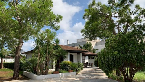 Garden, Other, Garden view