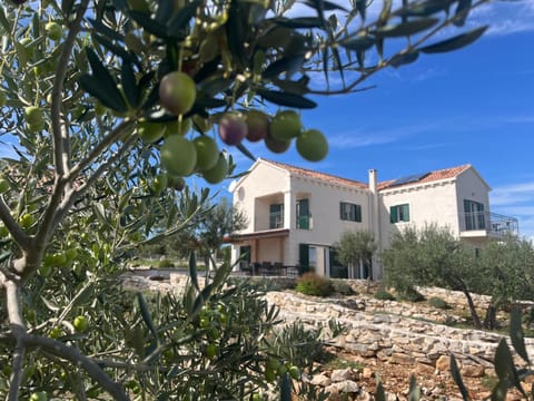 Villa Luisa für bis zu 8 Personen mit Pool, Klima, Grill, Tischtennis, Boccia Villa in Split-Dalmatia County