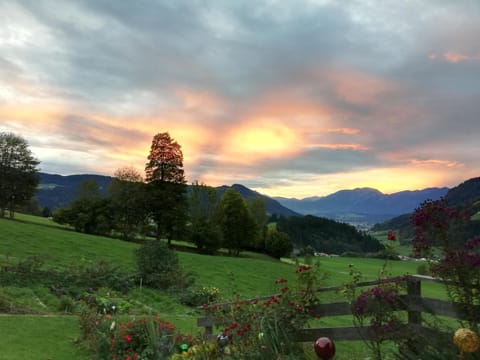 Fuchs Alm Apartment in Salzburgerland