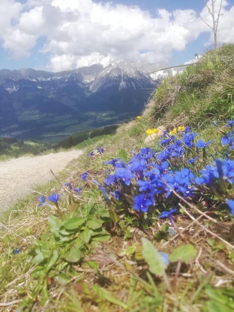 Fuchs Alm Apartment in Salzburgerland