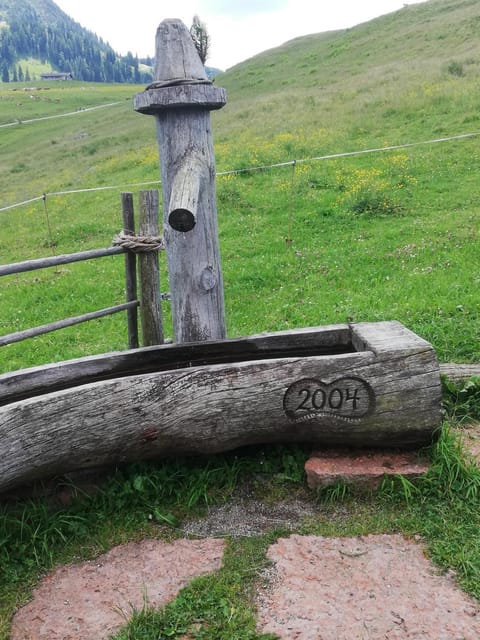 Fuchs Alm Apartment in Salzburgerland