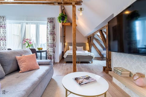 Bed, TV and multimedia, Living room, Photo of the whole room, Seating area, Evening entertainment, Bedroom