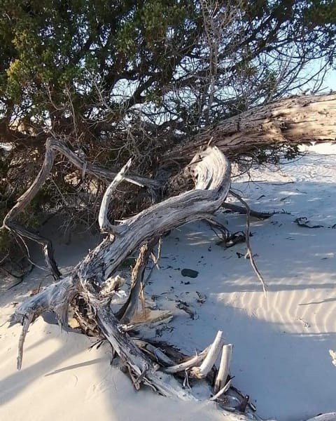 Belvedere House in Sardinia