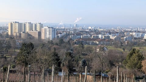 Basti's Rooms&Breakfast - Self Checkin Apartment in Riehen