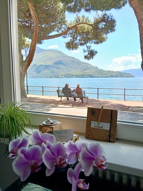 Day, Natural landscape, View (from property/room), Lake view, Mountain view, Sea view