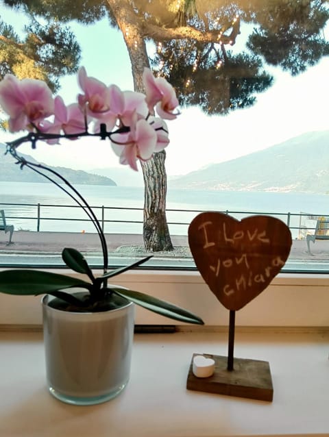 Natural landscape, Decorative detail, Lake view, Mountain view, Street view