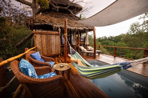 Balcony/Terrace, Pool view, Swimming pool, sunbed