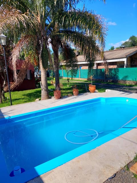 Garden, Garden view, Swimming pool