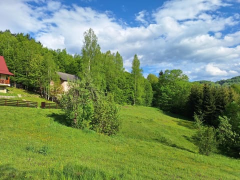 Braun Apartments Apartment in Montenegro