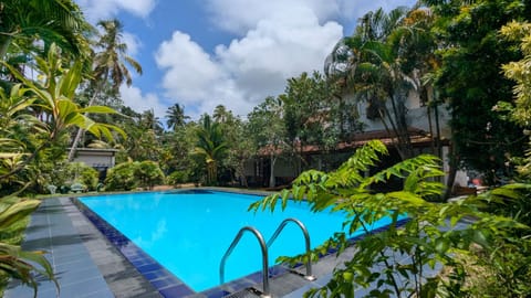 Spring, Day, Natural landscape, Garden, Garden view, Pool view, Swimming pool, sunbed