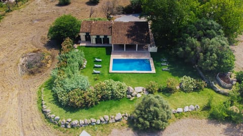 Bird's eye view, Garden, Swimming pool