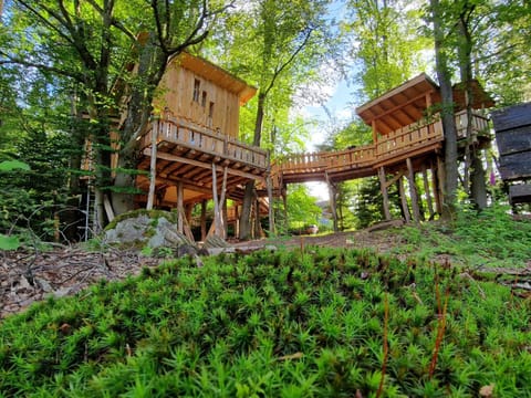 Property building, Natural landscape, Garden view