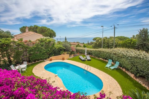 Property building, Living room, Swimming pool