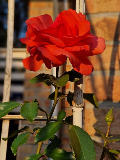 Wohnung Adlerhorst in Eversen-Heide Apartment in Hamburg