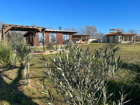 Property building, Garden, Garden view