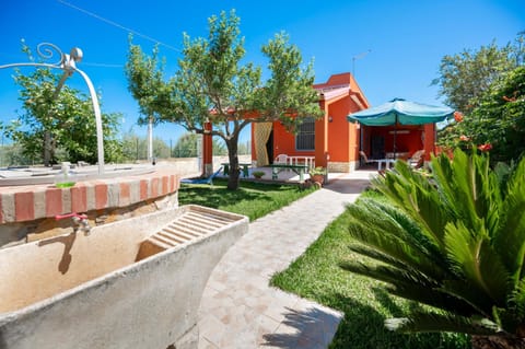 Day, Garden, Garden view