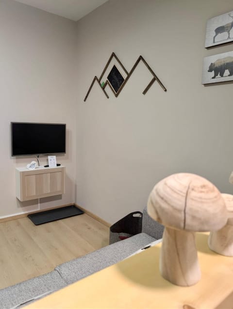 Communal lounge/ TV room, TV and multimedia