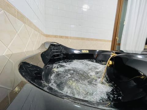 Bathroom, Living room