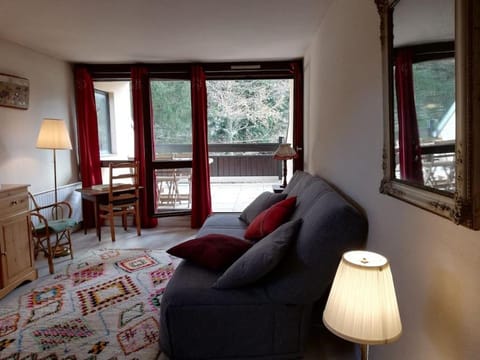 Grand studio 34 m2 à Villard de Lans proche Centre Apartment in Provence-Alpes-Côte d'Azur