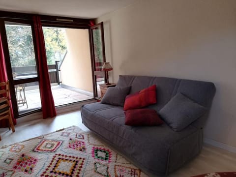 Grand studio 34 m2 à Villard de Lans proche Centre Apartment in Provence-Alpes-Côte d'Azur