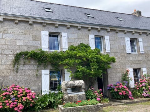 Property building, Garden view